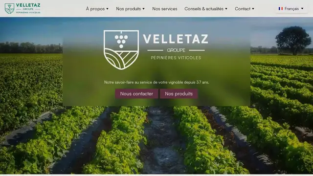 Aperçu du site Velletaz Groupe